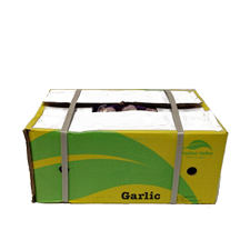 picture of garlic box
