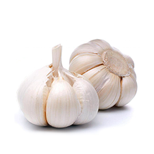 picture of loose garlic