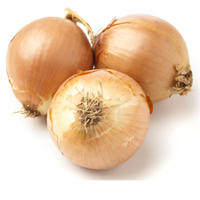 picture of onions